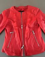 Studio ar leren jasje rood, Kleding | Dames, Jassen | Zomer, Zara, Nieuw, Ophalen of Verzenden, Maat 36 (S)
