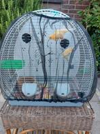 Twee vogels te koop met kooi in Nijmegen Groesbeek 100 euro, Dieren en Toebehoren, Ophalen of Verzenden, Zo goed als nieuw, Vogelkooi