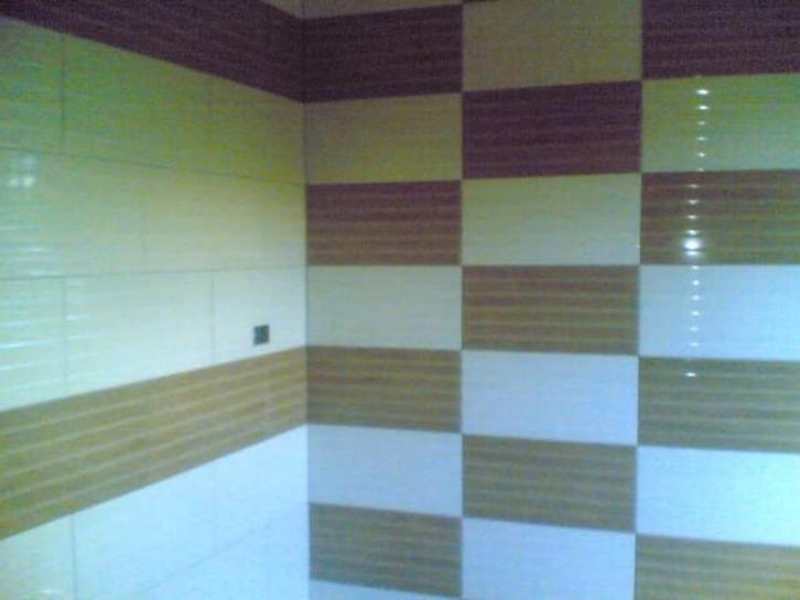 Tegelzetter of stukadoor gezocht?, Diensten en Vakmensen, Stukadoors en Tegelzetters, Metselen, Mozaïek, Pleisterwerk, Spachtelputz