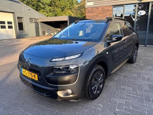 Citroen C4 Cactus 1.6 BlueHDi Business Navi Camera, Auto's, Citroën, Bedrijf, Te koop, C4 Cactus, ABS, Achteruitrijcamera, Airbags