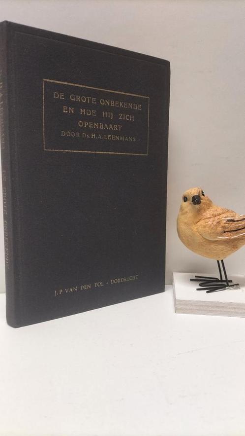 Leenmans, Ds. H.A.; De grote Onbekende en hoe Hij Zich, Boeken, Godsdienst en Theologie, Gelezen, Christendom | Protestants, Ophalen of Verzenden