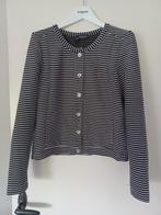 Zwart wit vest Norah ,,40, Kleding | Dames, Truien en Vesten, Ophalen of Verzenden, Zo goed als nieuw, Maat 38/40 (M), Wit