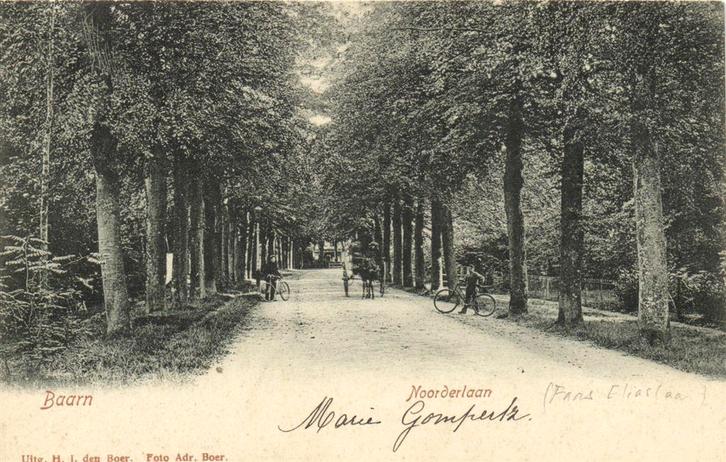 Baarn - Noorderlaan - koets - 1905 gelopen, Verzamelen, Ansichtkaarten | Nederland, Gelopen, Utrecht, Voor 1920, Ophalen of Verzenden