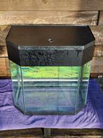 Design aQuaja aquarium met schuine kanten 40 liter ongeveer, Dieren en Toebehoren, Vissen | Aquaria en Toebehoren, Ophalen, Gebruikt