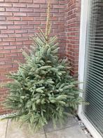 Gratis kerstboom, Ophalen, Volle zon, Overige soorten