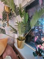 Nep plant met gouden pot., Huis en Inrichting, Kamerplanten, Ophalen of Verzenden, Overige soorten, Minder dan 100 cm