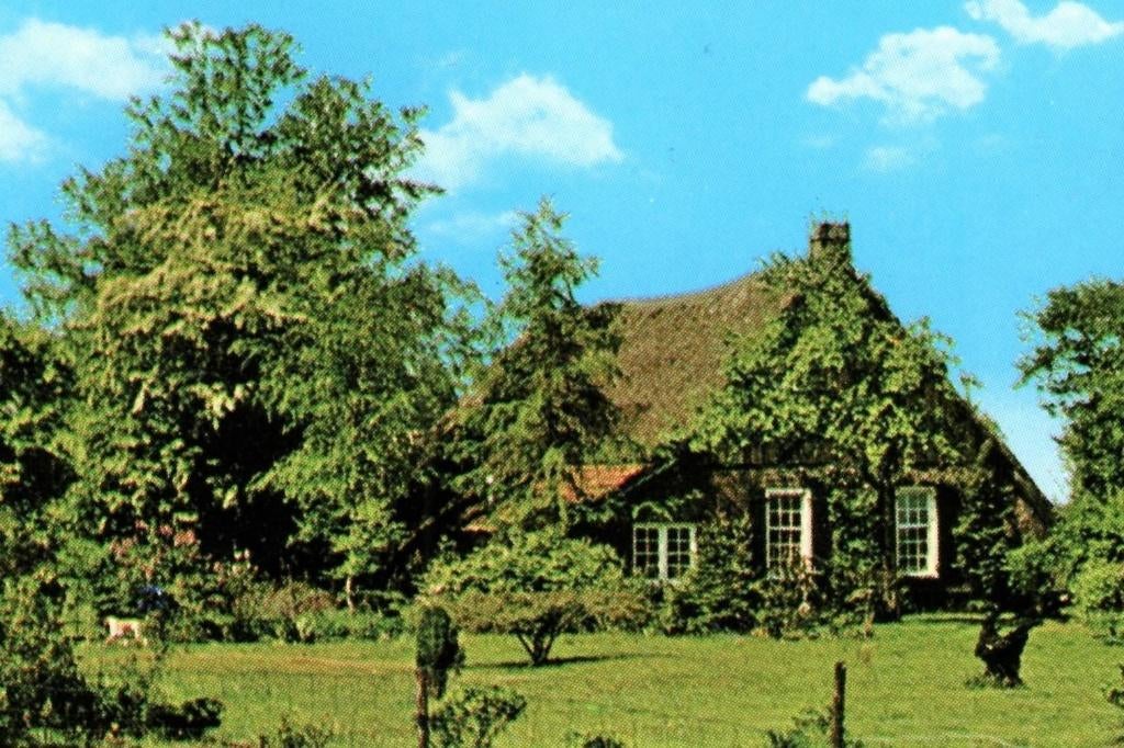 801397 Diever 80+ Drenthe Gelopen met postzegel, Ophalen of Verzenden, 1980 tot heden, Gelopen, Drenthe