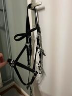 Halsterhoofdstel maat cob, Dieren en Toebehoren, Ophalen, Gebruikt, Overige soorten