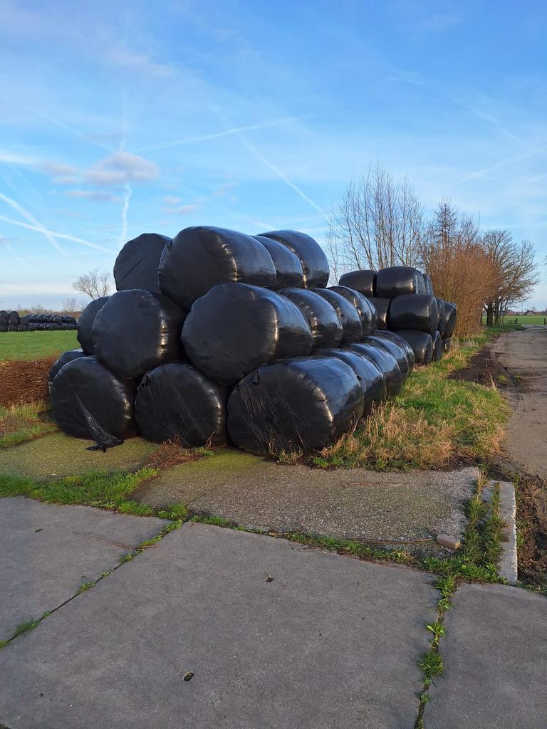 Verschillende partijen gras/hooibalen aangeboden, Dieren en Toebehoren, Dierenvoeding, Ophalen, Vee