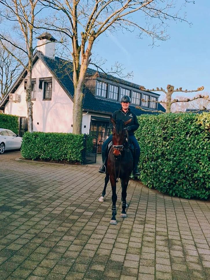 Per 1 mei --> 2 Paardenboxen te huur – Privéstal aan huis, Dieren en Toebehoren, Stalling en Weidegang, Stalling, Weidegang, 2 of 3 paarden of pony's