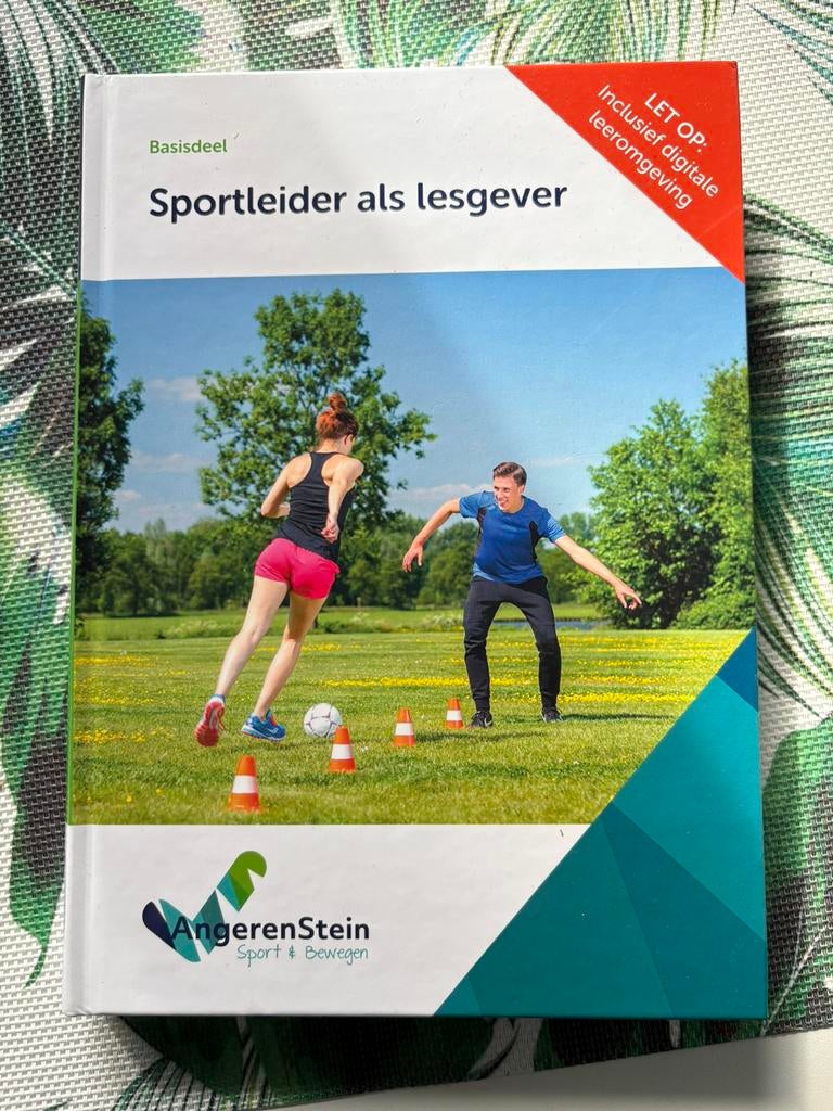 Sportleider als lesgever / Sport- en bewegen MBO, Boeken, Ophalen of Verzenden, Zo goed als nieuw, Overige niveaus