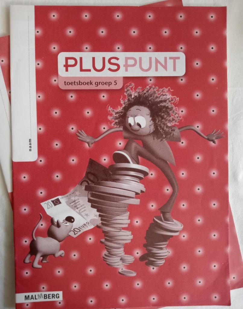 !! ❤️ Toetsboek Pluspunt Groep 5 ❤️ !!, Overige vakken, Malmberg, Ophalen of Verzenden, Zo goed als nieuw