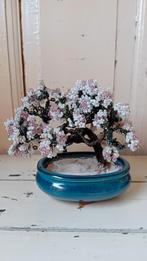 Bonsai Kralenboompje, Verzenden