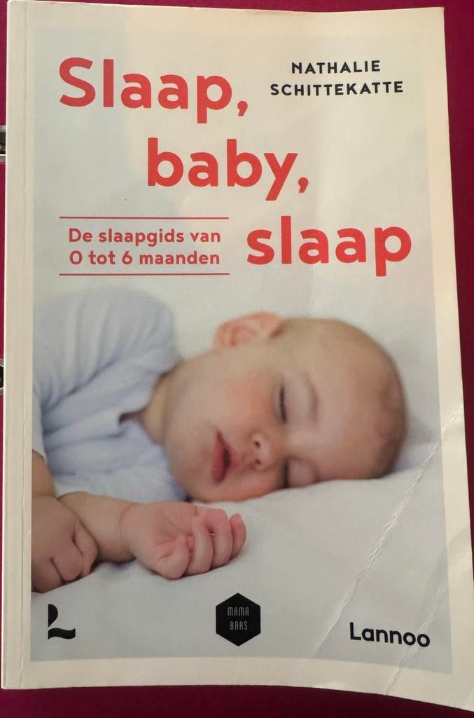 Slaap, baby, slaap: De slaapgids van 0 tot 6 maanden, Boeken, Zwangerschap en Opvoeding, Ophalen of Verzenden, Gelezen, Opvoeding tot 6 jaar