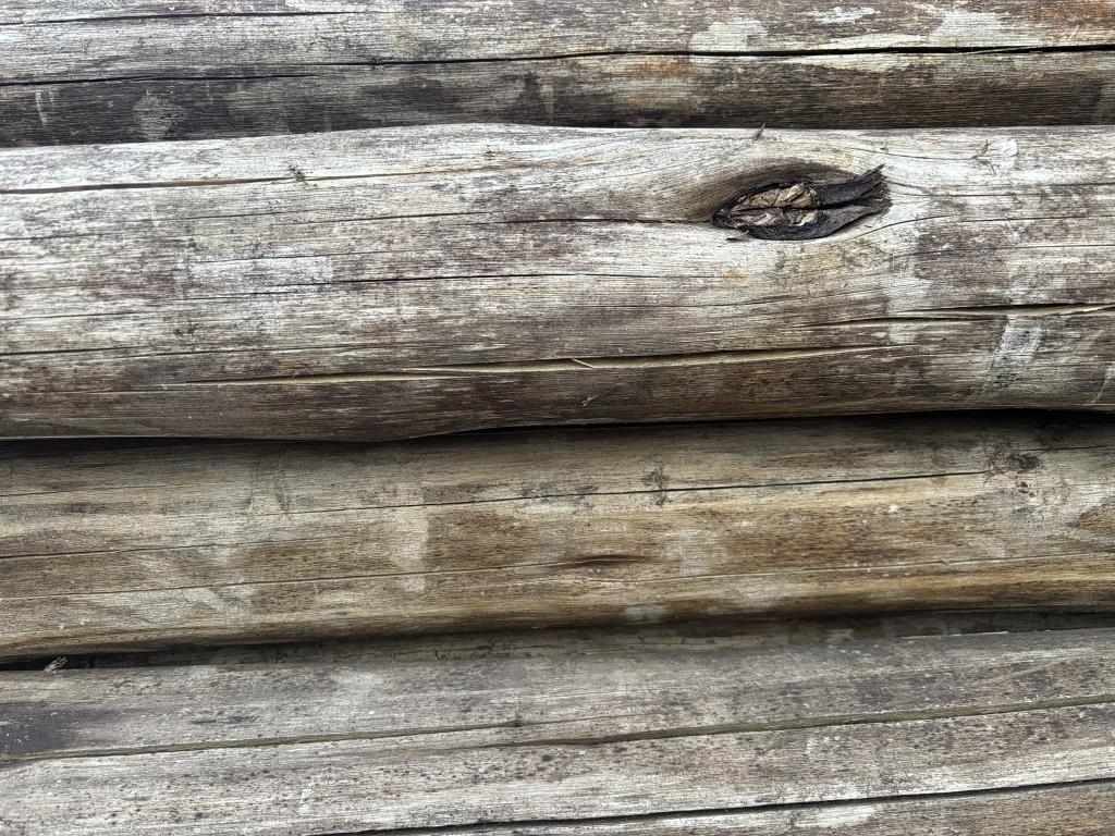 Cloeziana hardhout rondhout ronde  nieuwe palen klasse 1, Ophalen, Nieuw, Palen