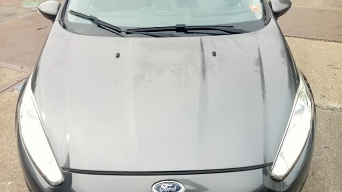 Motorkap van een Ford Fiesta (QF), Auto-onderdelen, Gebruikt, -, -, Ophalen of Verzenden