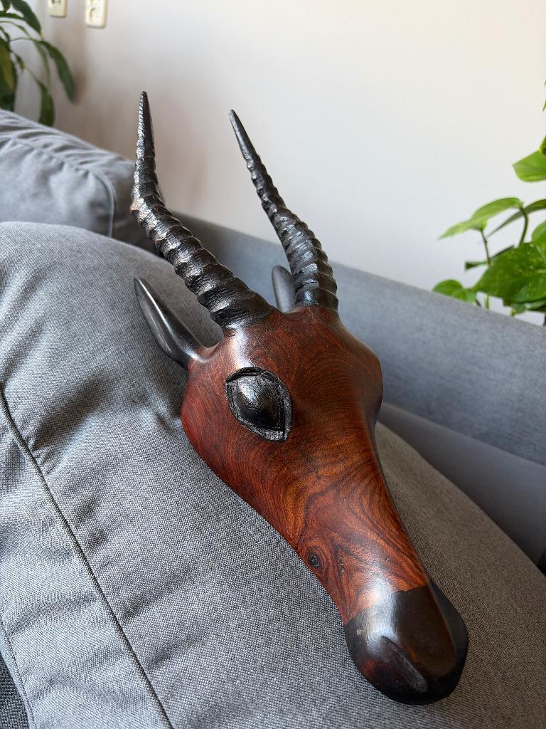 Springbok schedel van hout, Ophalen of Verzenden