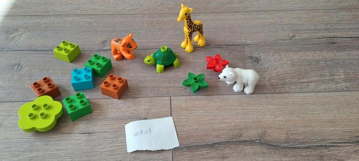 LEGO Duplo 10801 Dieren van de Wereld Compleet, Kinderen en Baby's, Speelgoed | Duplo en Lego, Gebruikt, Duplo, Complete set, Overige thema's