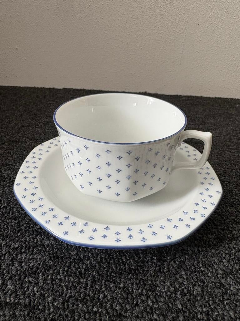 Seltmann Weiden Bavaria W. Germany Kop en Schotel, Ophalen of Verzenden, Zo goed als nieuw, Overige stijlen, Kop(pen) en/of Schotel(s)