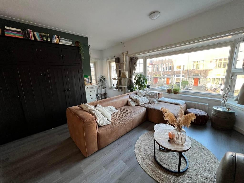 Lichtbruine hangbank Groningen, Ophalen