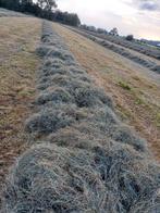 Voordroog hooi grote balen, Ophalen of Verzenden, Vee