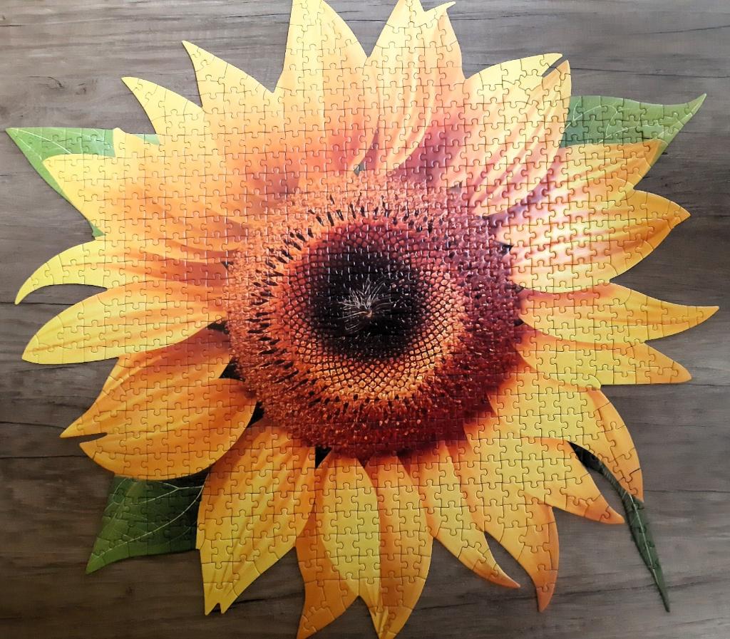 'Legpuzzel "zonnebloem" (rond), Ophalen of Verzenden, 500 t/m 1500 stukjes, Zo goed als nieuw, Legpuzzel
