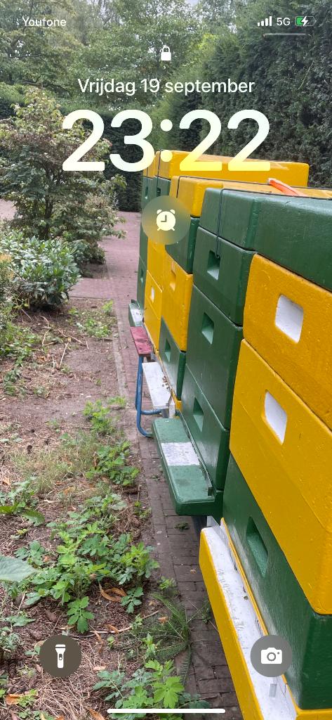 Bijen en bijenkasten, Bijen