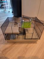 Hamsterkooi, Dieren en Toebehoren, Knaagdieren en Konijnen | Hokken en Kooien, Kooi, Gebruikt, Minder dan 75 cm, Ophalen