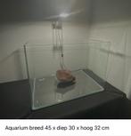 Aquarium, Ophalen, Zo goed als nieuw, Leeg aquarium