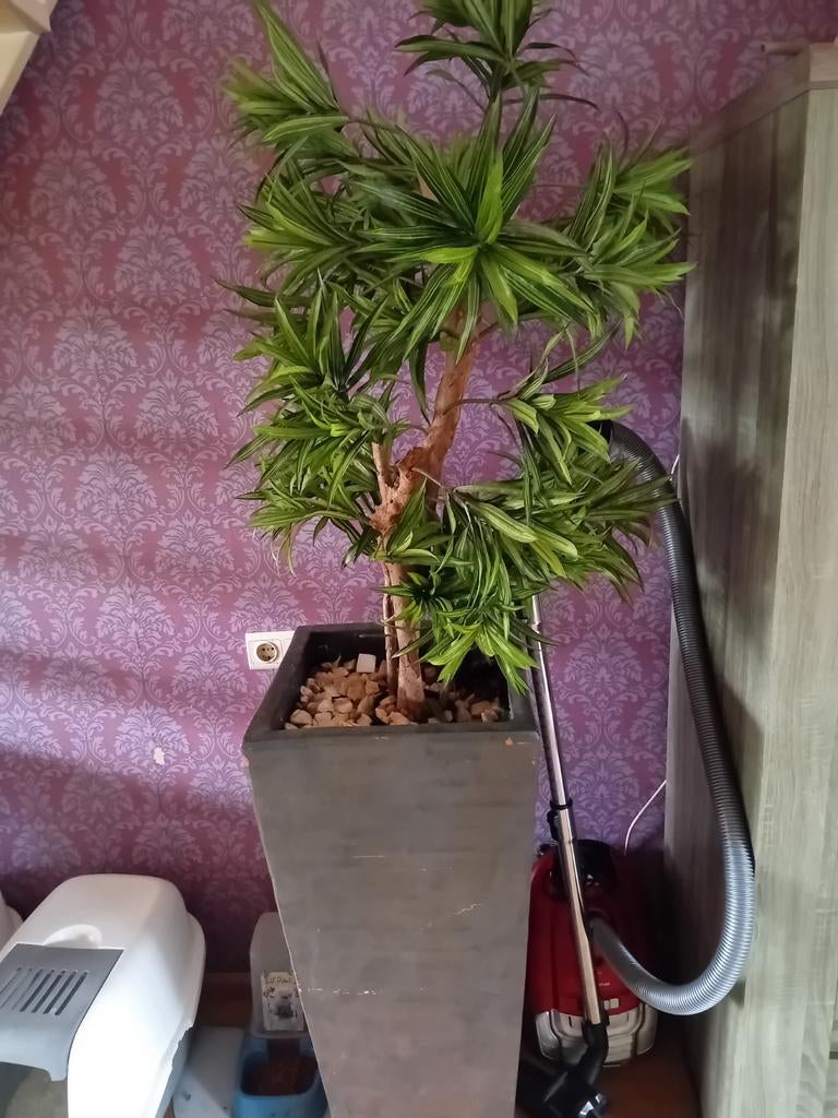 Plantenbak, Tuin en Terras, Ophalen, Overige soorten, Volle zon