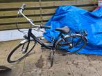 dames fiets, Ophalen, Versnellingen, Zo goed als nieuw, 50 tot 53 cm