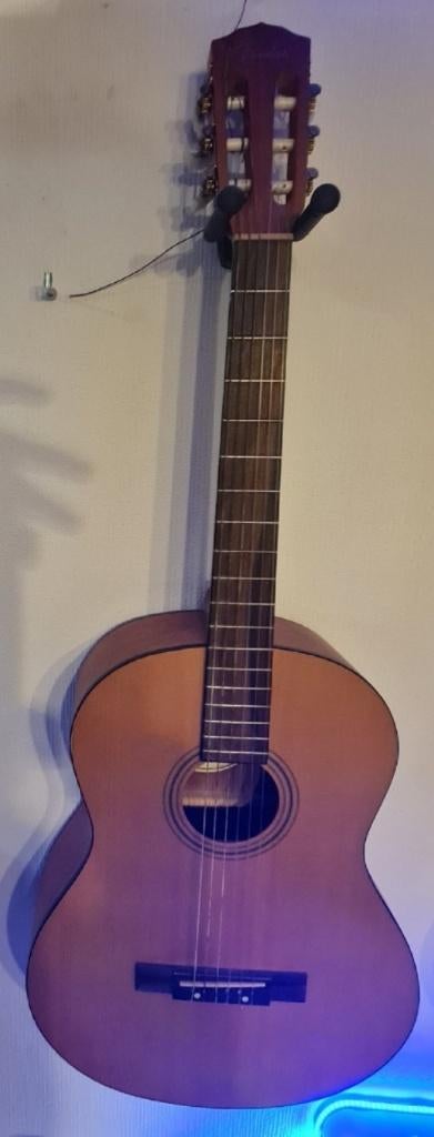 Fender ESC105 Educatieve serie klassieke akoestische gitaar, Muziek en Instrumenten, Ophalen of Verzenden, Zo goed als nieuw, Klassieke of Spaanse gitaar