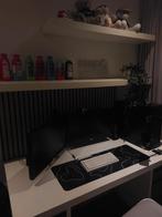 Complete Gaming Setup (excl. bureau en panelen), Ophalen of Verzenden, Gebruikt, Met monitor, Gaming