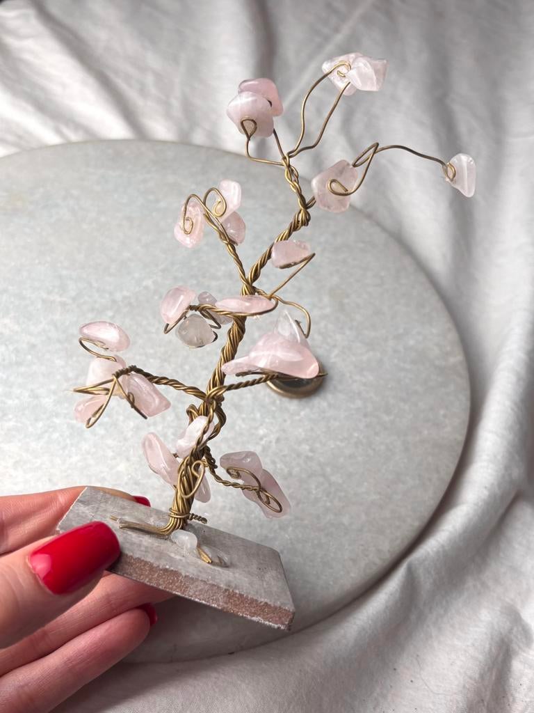 Rozenkwarts boom, Ophalen of Verzenden