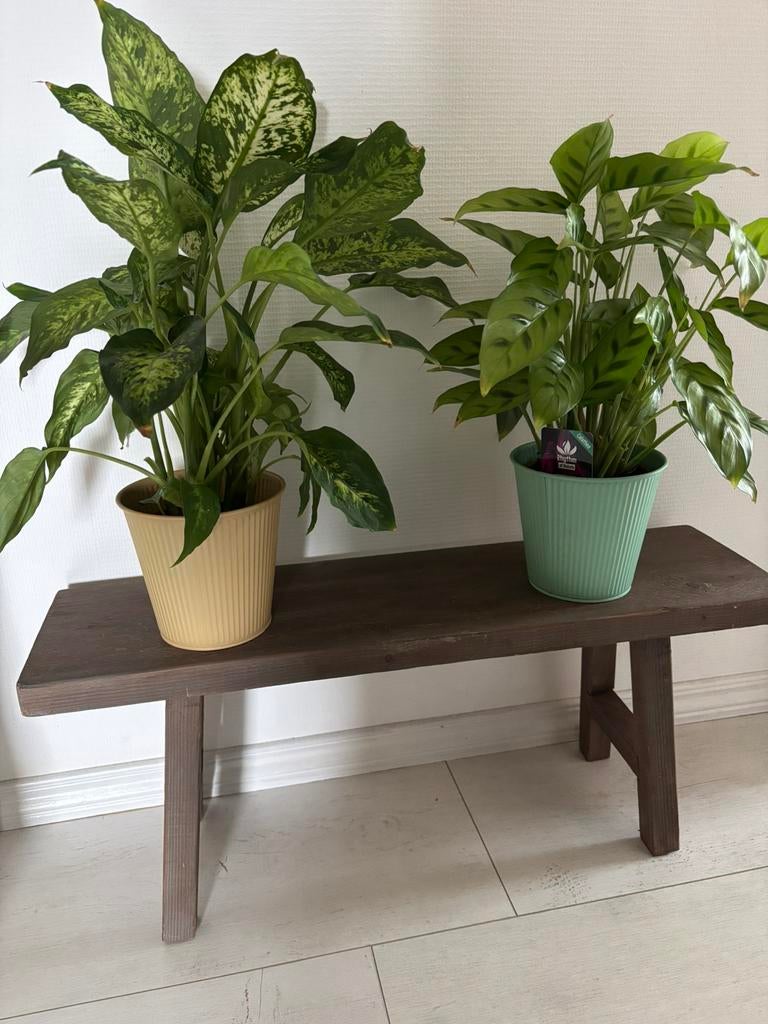 Vensterbank bankje! ️, Ophalen of Verzenden, Zo goed als nieuw