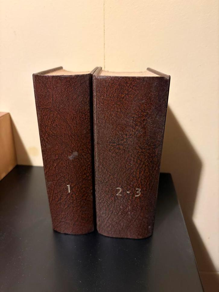 Homeopathie & Ayur Veda Boeken: Klassiekers & Meer, Boeken, Overige Boeken, Gelezen, Ophalen of Verzenden