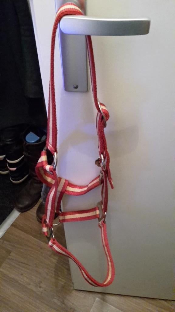 Halster, maat Pony, Dieren en Toebehoren, Ophalen of Verzenden, Zo goed als nieuw, Overige soorten