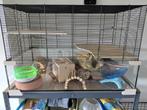 Hamsterkooi groot, Dieren en Toebehoren, Ophalen, Minder dan 75 cm, Kooi, Minder dan 60 cm