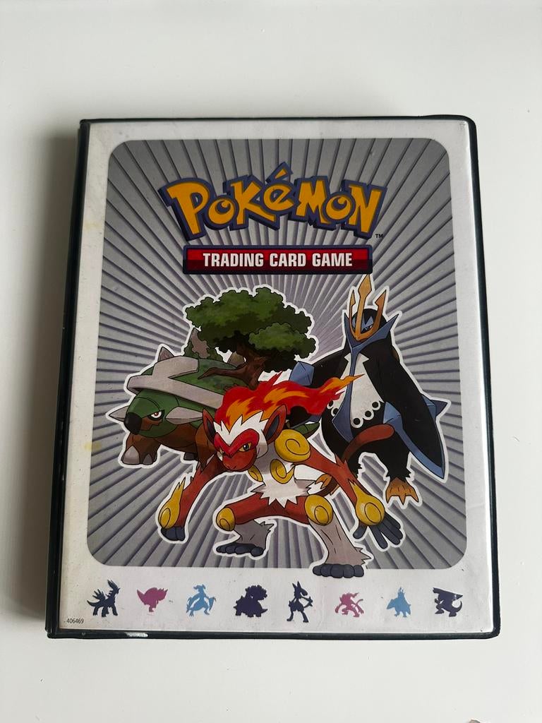 Pokémon kaarten collectie 2007 Map + losse verkoop mogelijk, Ophalen of Verzenden, Zo goed als nieuw, Speelkaart(en)