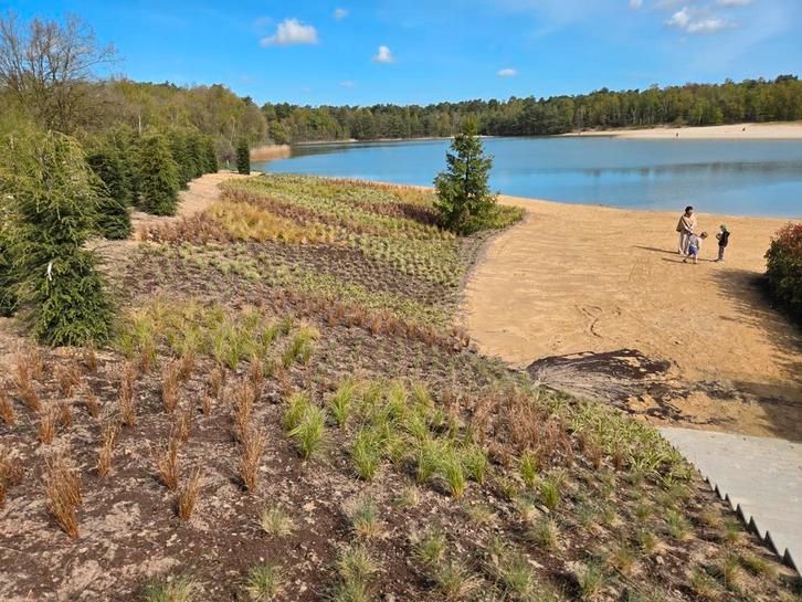 Fijn CHALET/LODGE in NBr....Unieke ligging!, Vakantie, Vakantiehuizen | Nederland, Chalet, Bungalow of Caravan, Recreatiepark