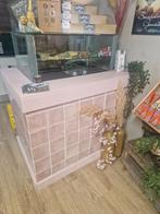 Koelvitrine met ombouw balie, Zakelijke goederen, Kantoor en Winkelinrichting | Winkel en Inventaris, Ophalen