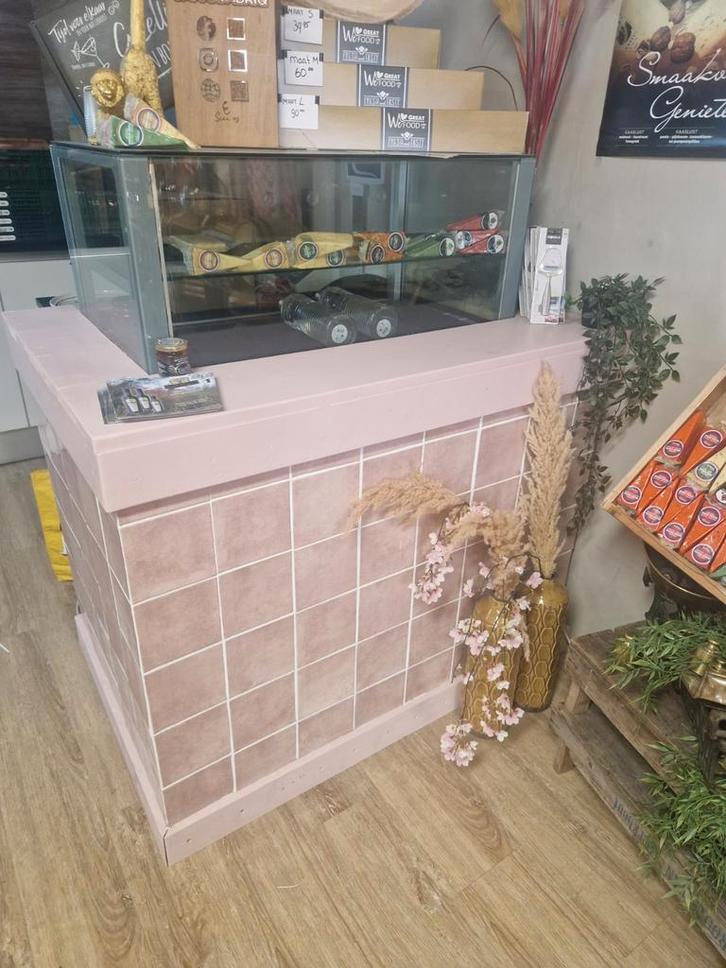 Koelvitrine met ombouw balie, Zakelijke goederen, Kantoor en Winkelinrichting | Winkel en Inventaris, Ophalen