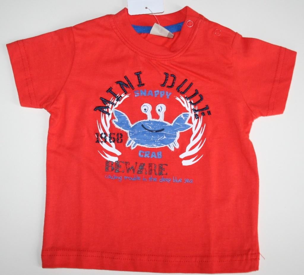 Rood T-shirt, Ophalen of Verzenden, Zo goed als nieuw, Jongetje, Shirtje of Longsleeve