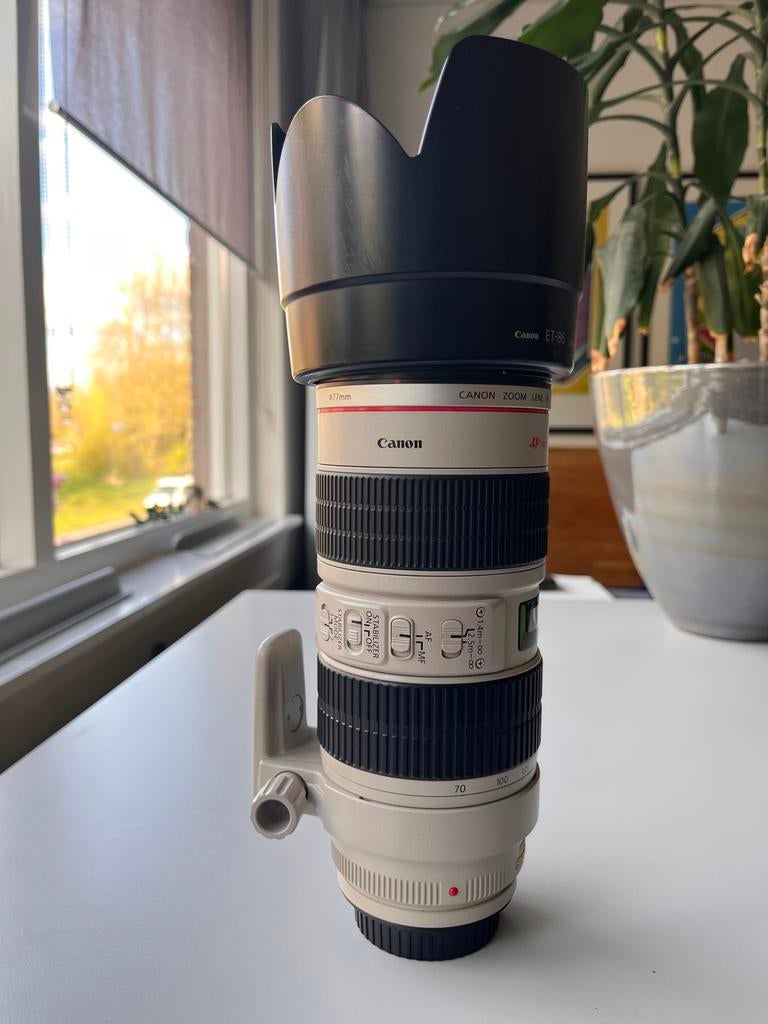 Canon 70-200mm f/2.8 L IS USM – net exemplaar, Audio, Tv en Foto, Fotografie | Lenzen en Objectieven, Ophalen, Zo goed als nieuw