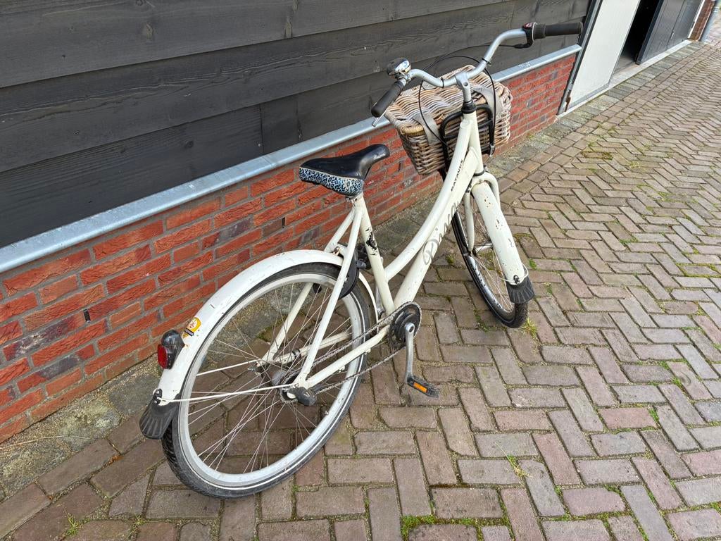 Baravus diva opknapper, Ophalen, Gebruikt, 26 inch of meer