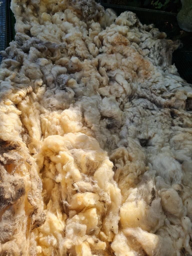 Pakket met ruw vachtje met gekaarde wol, Hobby en Vrije tijd, Spinnewielen en Spinnen, Ophalen of Verzenden, Spinwol