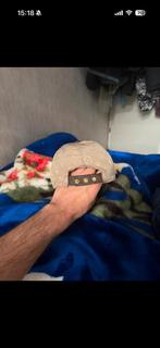 Louis vuitton pet, Kleding | Heren, Verzenden, Gedragen, 57 cm (M, 7⅛ inch) of minder, Pet