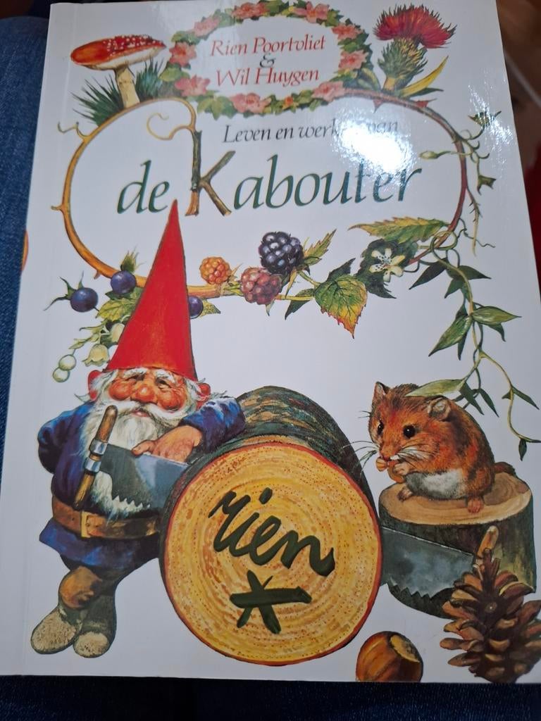 Rien - Leven en werken van de kabouter, Ophalen of Verzenden, Zo goed als nieuw, Rien