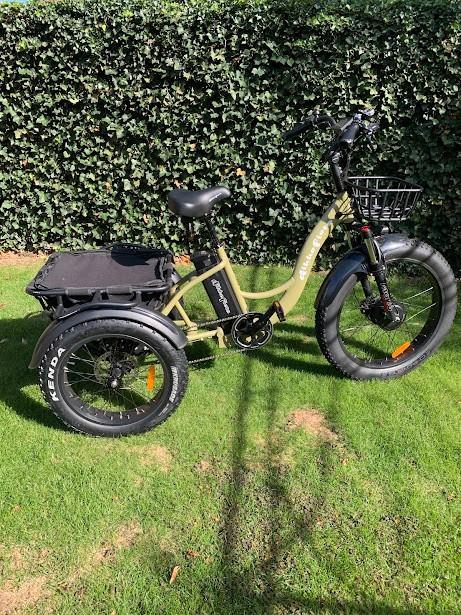 Driewielfiets elektrisch, Fietsen en Brommers, Fietsen | Driewielfietsen, Zo goed als nieuw, Ophalen