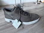 Timberland herenschoenen,  Amherst, maat 44,5, Kleding | Heren, Schoenen, Ophalen of Verzenden, Gedragen, Overige kleuren, Veterschoenen